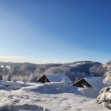 Szczyrkowe Zacisze Villa Buitenkant foto