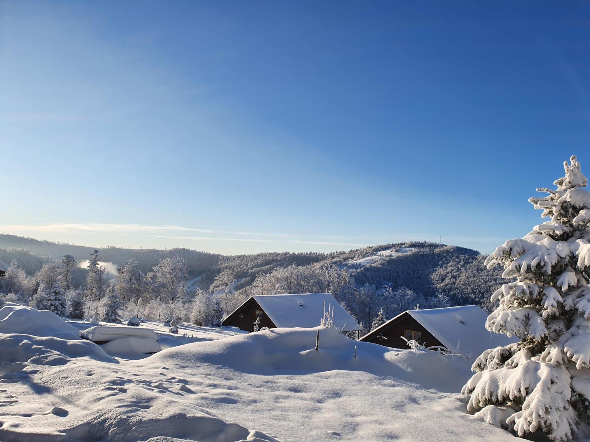 Szczyrkowe Zacisze Villa Buitenkant foto